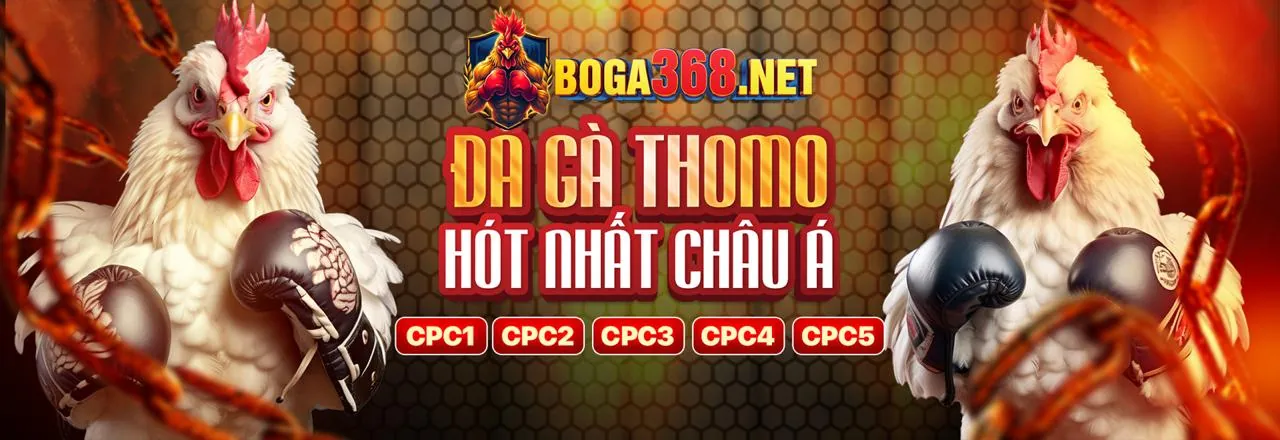 Hình ảnh an ninh kỹ thuật và tổ chức